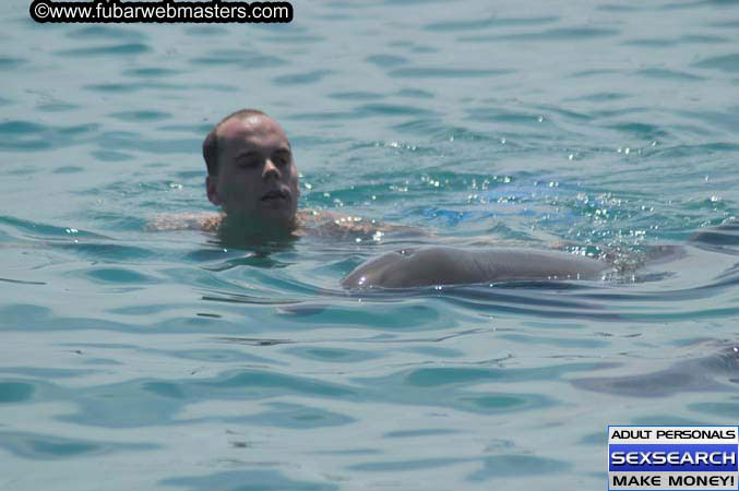 Local Billing Dolphin Encounter and Swim 2005