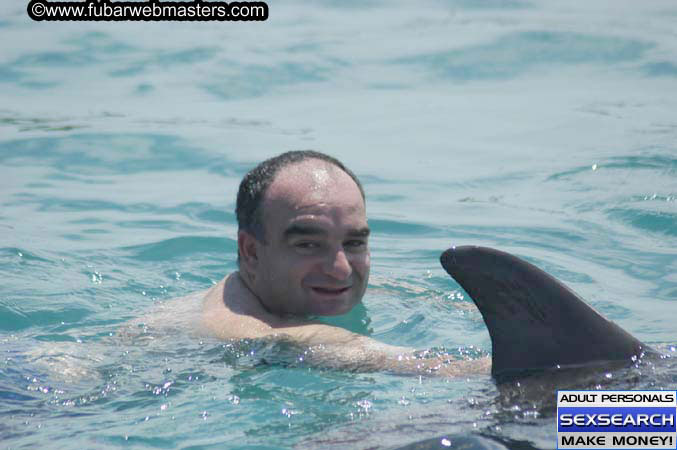 Local Billing Dolphin Encounter and Swim 2005