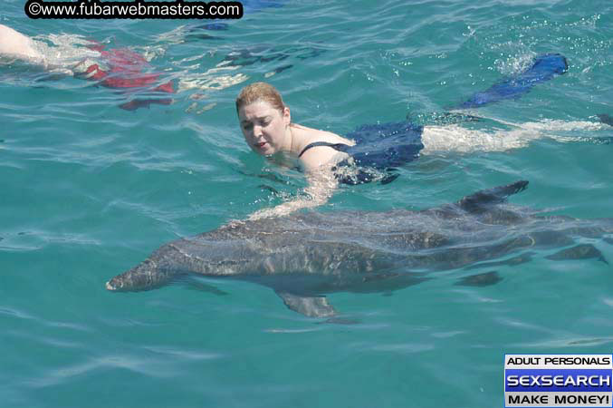 Local Billing Dolphin Encounter and Swim 2005