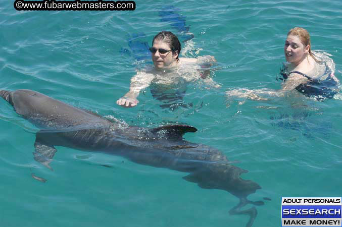Local Billing Dolphin Encounter and Swim 2005