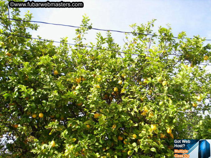 Giga Warm-up BBQ 2005