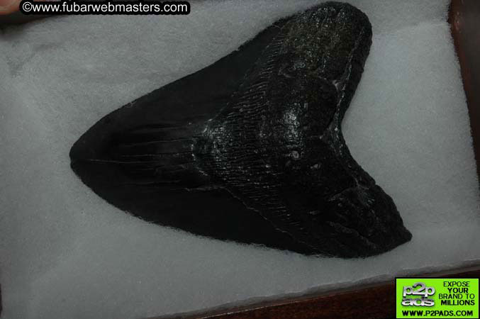 Choker's 5K Giveaway 2005