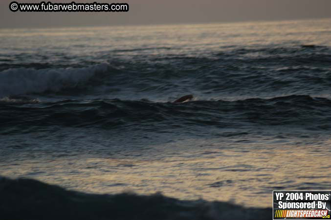 Thursday Night  2004