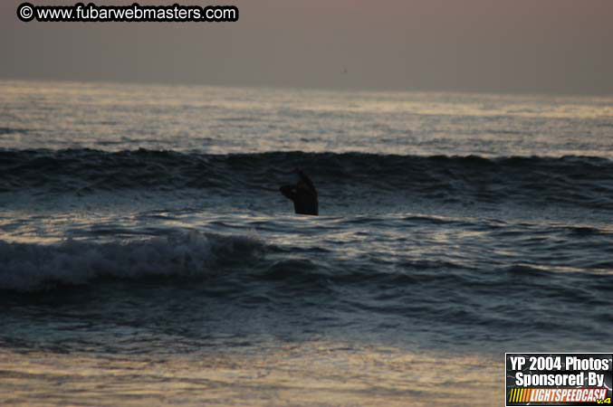 Thursday Night  2004