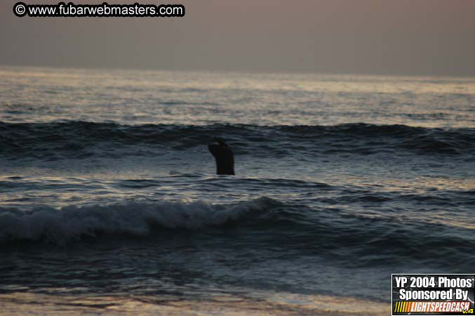 Thursday Night  2004