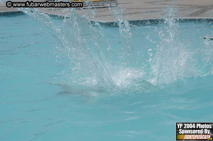 "Stupid Human Olympics" 2004