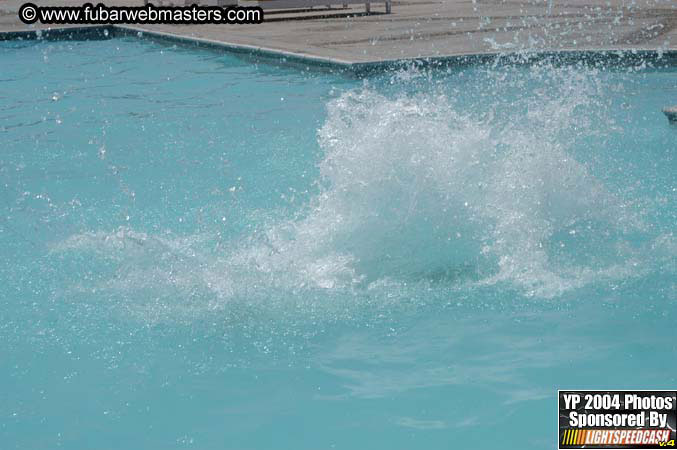 "Stupid Human Olympics" 2004