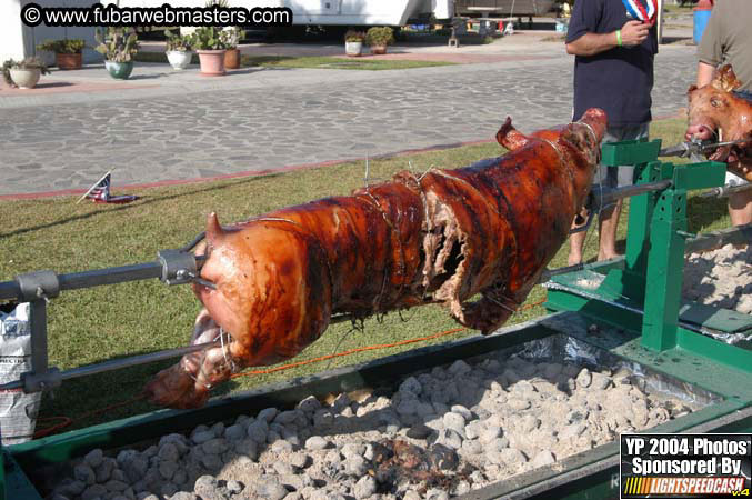 Saturday Afternoon with Rockfish 2004