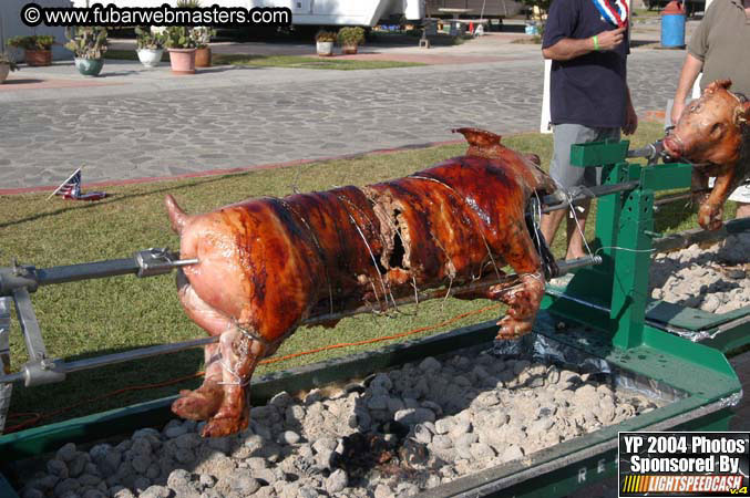 Saturday Afternoon with Rockfish 2004