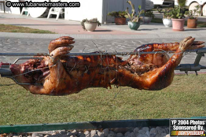 Saturday Afternoon with Rockfish 2004