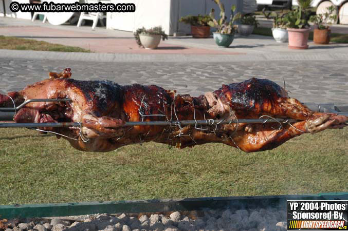 Saturday Afternoon with Rockfish 2004