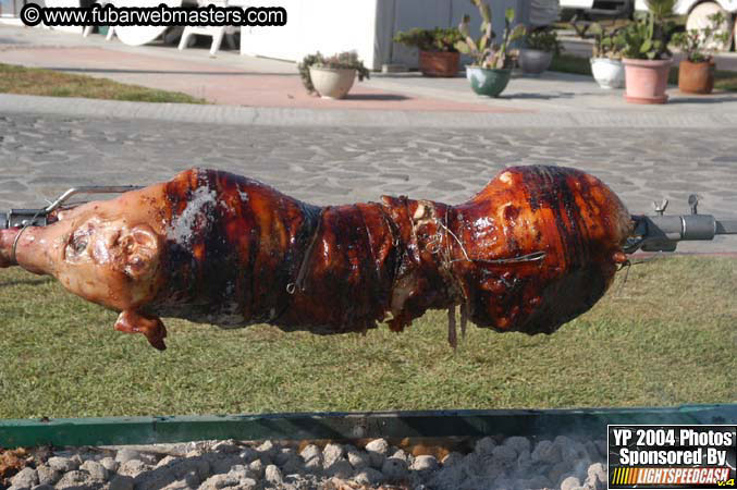 Saturday Afternoon with Rockfish 2004