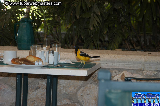 Friday Morning & Arrivals 2004