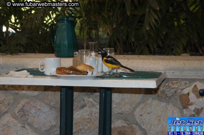 Friday Morning & Arrivals 2004