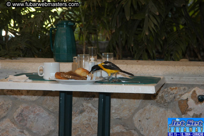 Friday Morning & Arrivals 2004