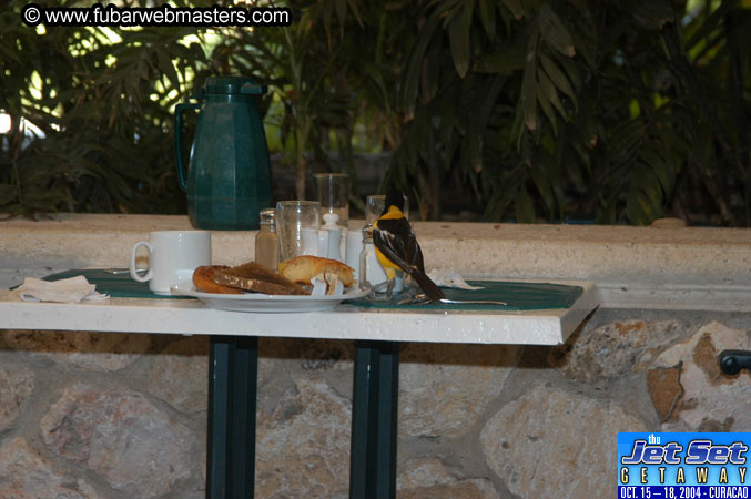 Friday Morning & Arrivals 2004