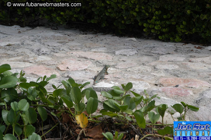 Friday Morning & Arrivals 2004