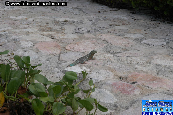 Friday Morning & Arrivals 2004