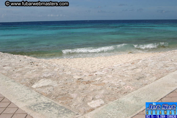 Friday Morning & Arrivals 2004