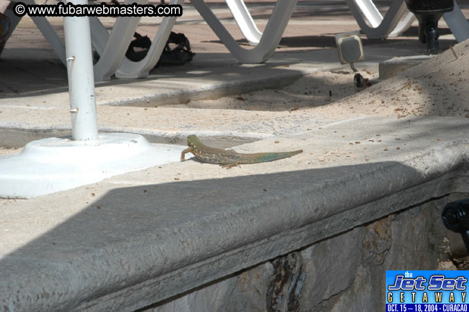 Friday Morning & Arrivals 2004