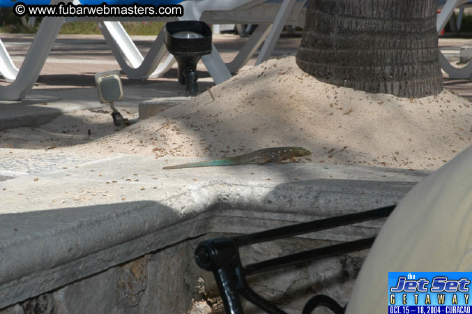 Friday Morning & Arrivals 2004