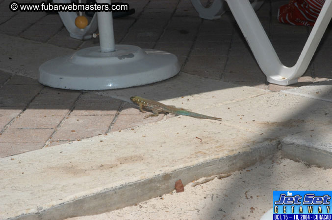 Friday Morning & Arrivals 2004