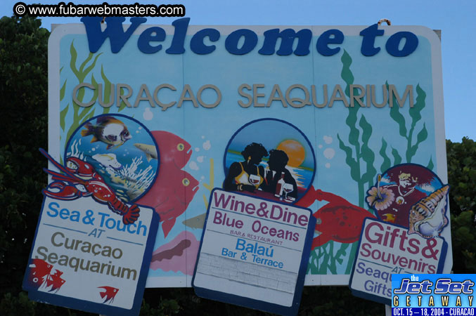 Saturday'sDolphin Swim Adventure and Animal Encounter 2004