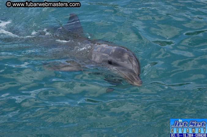 Saturday'sDolphin Swim Adventure and Animal Encounter 2004