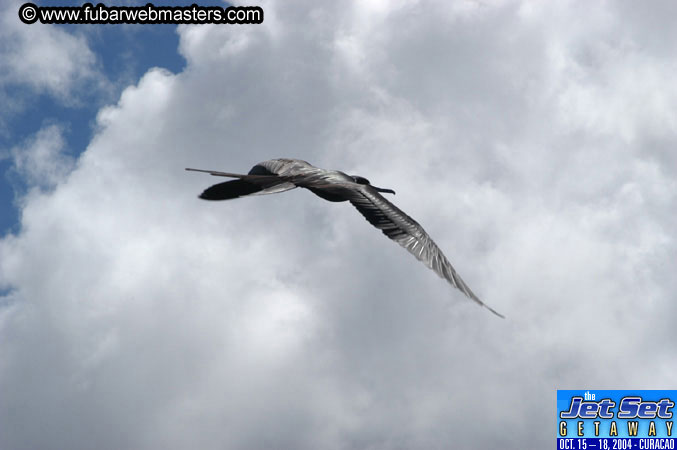Saturday'sDolphin Swim Adventure and Animal Encounter 2004