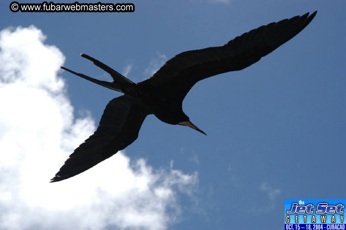Saturday'sDolphin Swim Adventure and Animal Encounter 2004