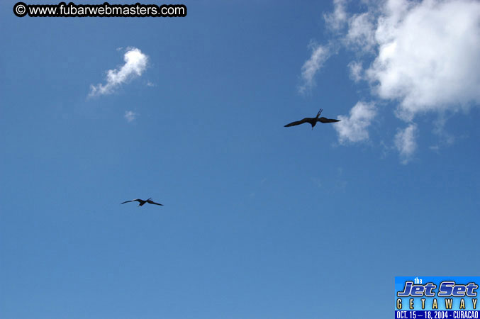Saturday'sDolphin Swim Adventure and Animal Encounter 2004