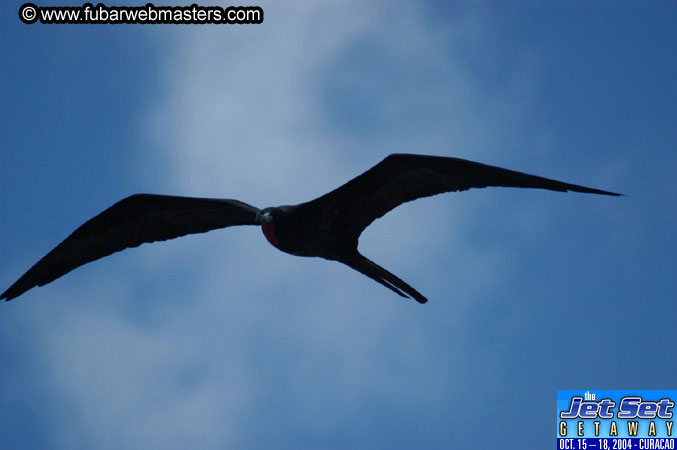 Saturday'sDolphin Swim Adventure and Animal Encounter 2004