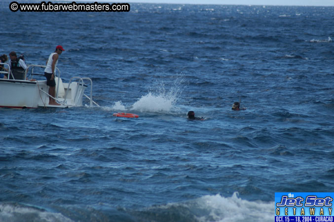 Saturday'sDolphin Swim Adventure and Animal Encounter 2004