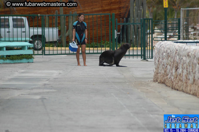Saturday'sDolphin Swim Adventure and Animal Encounter 2004