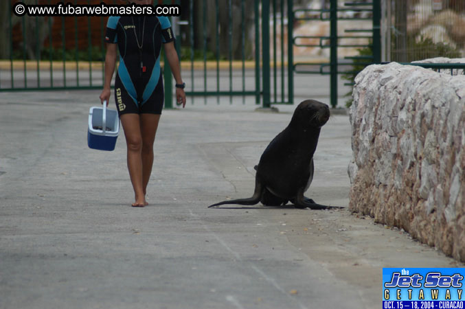 Saturday'sDolphin Swim Adventure and Animal Encounter 2004