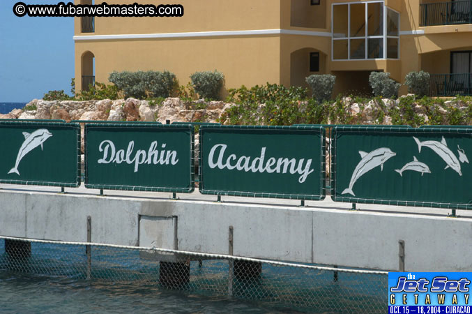 Saturday'sDolphin Swim Adventure and Animal Encounter 2004