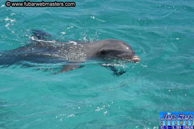 Saturday'sDolphin Swim Adventure and Animal Encounter 2004