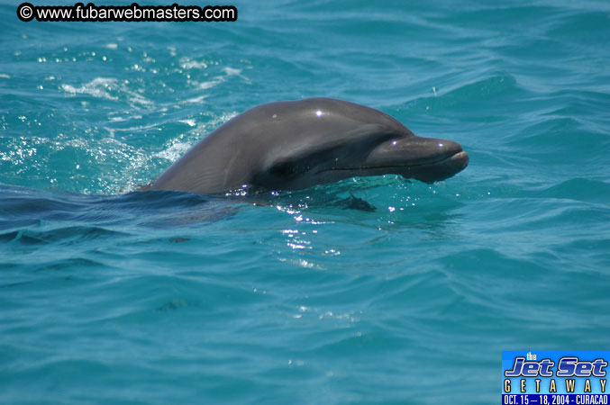 Saturday'sDolphin Swim Adventure and Animal Encounter 2004