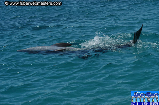 Saturday'sDolphin Swim Adventure and Animal Encounter 2004