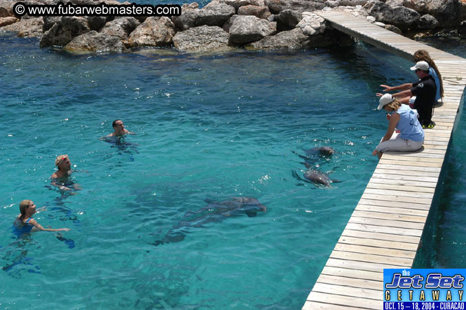 Saturday'sDolphin Swim Adventure and Animal Encounter 2004