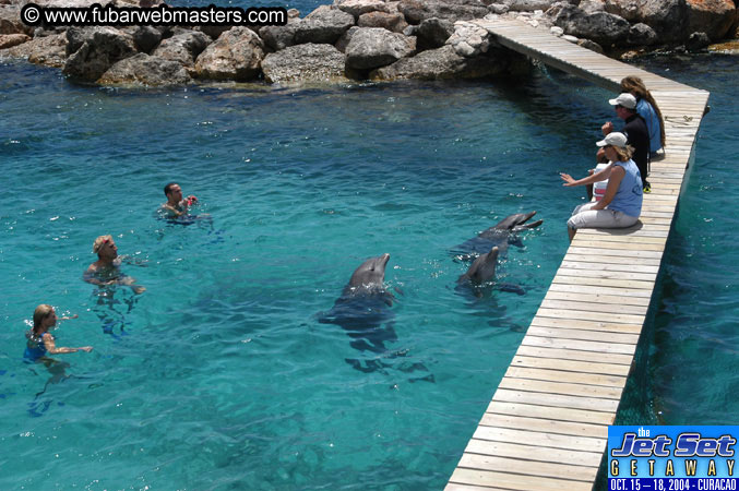 Saturday'sDolphin Swim Adventure and Animal Encounter 2004