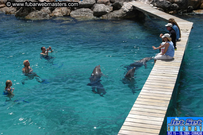 Saturday'sDolphin Swim Adventure and Animal Encounter 2004
