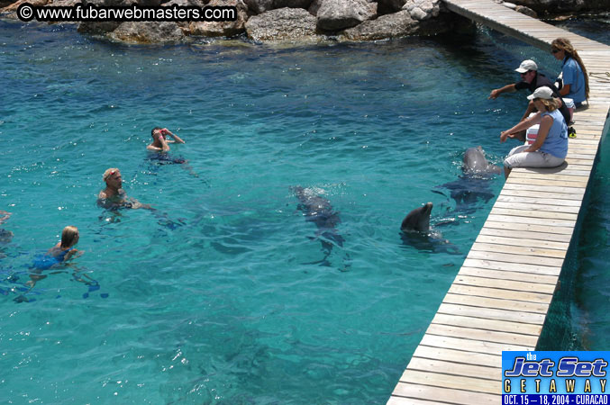 Saturday'sDolphin Swim Adventure and Animal Encounter 2004