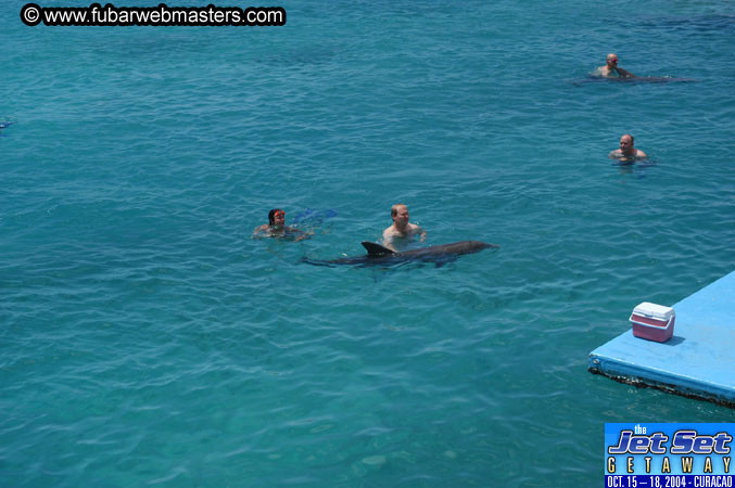 Saturday'sDolphin Swim Adventure and Animal Encounter 2004