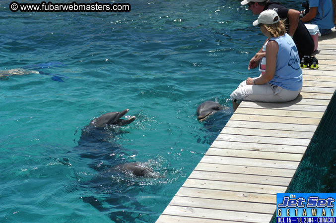 Saturday'sDolphin Swim Adventure and Animal Encounter 2004