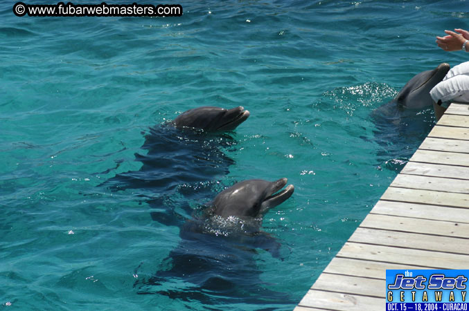 Saturday'sDolphin Swim Adventure and Animal Encounter 2004