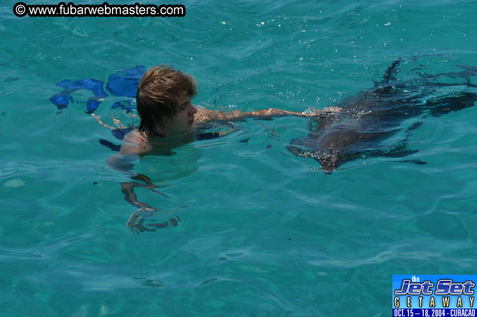 Saturday'sDolphin Swim Adventure and Animal Encounter 2004