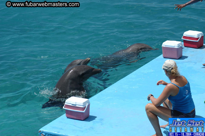 Saturday'sDolphin Swim Adventure and Animal Encounter 2004