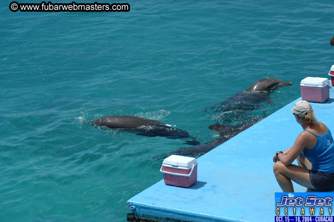 Saturday'sDolphin Swim Adventure and Animal Encounter 2004