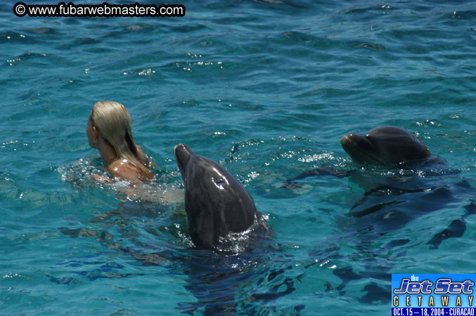 Saturday'sDolphin Swim Adventure and Animal Encounter 2004